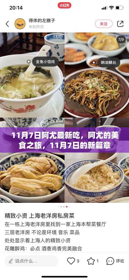 阿尤的美食之旅,新篇章开启,11月7日的味蕾盛宴
