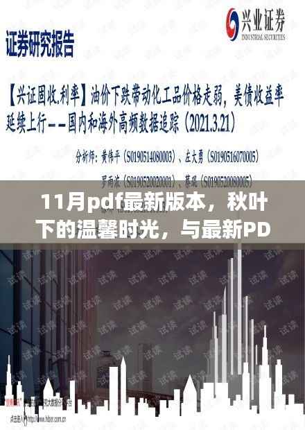 秋叶下的十一月奇遇记,最新PDF版相伴的温馨时光
