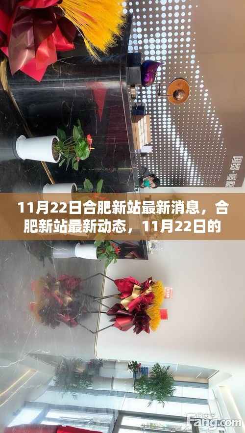 合肥新站11月22日最新动态,揭示深远影响与重要地位