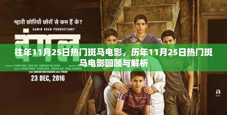 历年11月25日热门斑马电影回顾与深度解析
