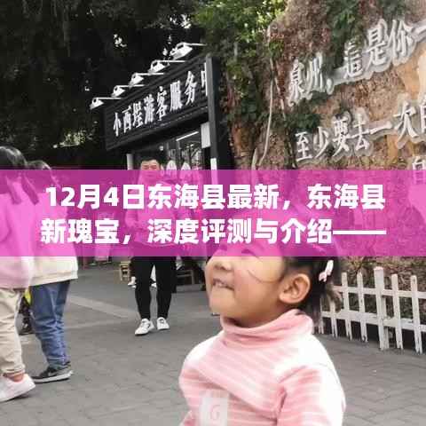 东海县新瑰宝深度评测与介绍——最新动态12月4日独家报道