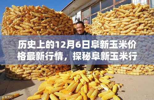 阜新玉米行情探秘,独家揭秘隐藏小巷中的宝藏店最新行情