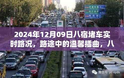 八宿堵车下的温情相伴,实时路况与旅途中的爱