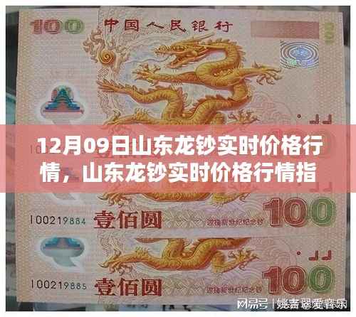 山东龙钞实时价格行情解析,最新数据获取与分析指南(12月09日)