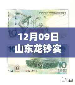 山东龙钞实时价格行情解析,最新数据获取与分析指南(12月09日)