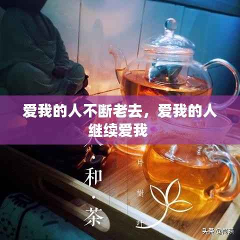 爱我的人不断老去,爱我的人继续爱我