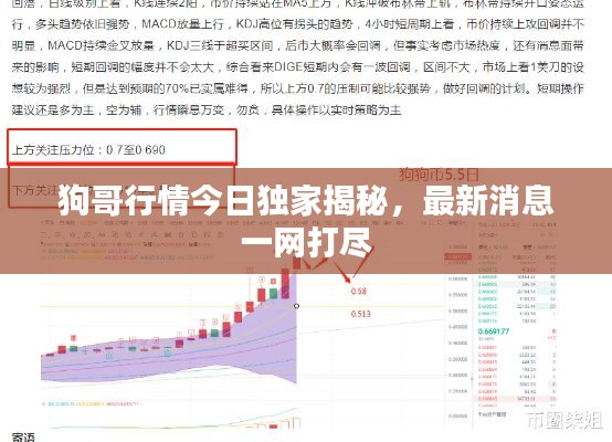 狗哥行情今日独家揭秘,最新消息一网打尽