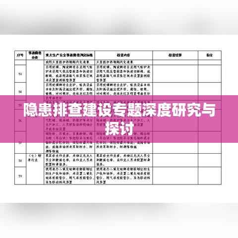 隐患排查建设专题深度研究与探讨