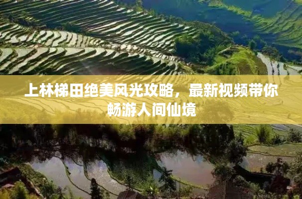 上林梯田绝美风光攻略,最新视频带你畅游人间仙境