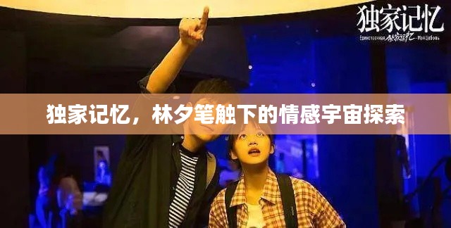 独家记忆,林夕笔触下的情感宇宙探索