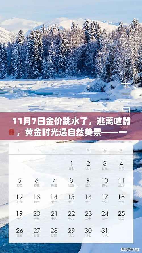 黄金之旅,探寻内心平静与自然的交响乐章——黄金价跳水后的心灵之旅