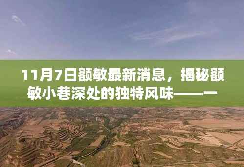 揭秘额敏隐藏版特色小店,小巷深处的独特风味神秘面纱(最新消息)