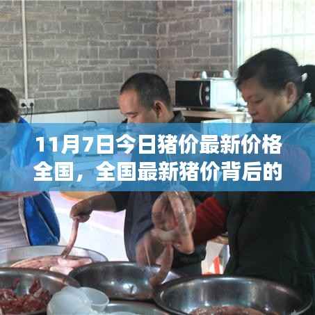全国最新猪价背后的自然美景之旅,探寻内心的宁静与猪趣的和谐共处(11月7日最新猪价)