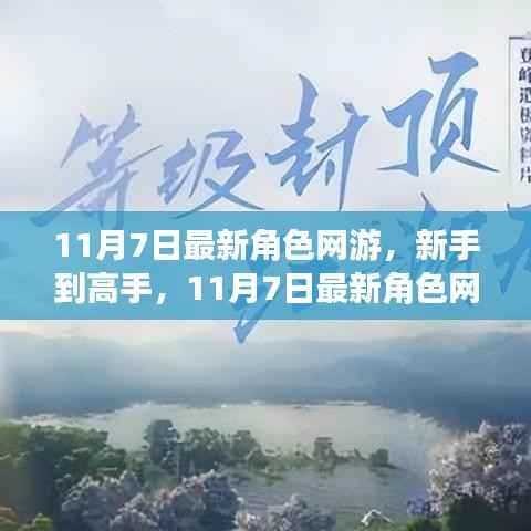 新手到高手,11月7日最新角色网游任务技能攻略大揭秘
