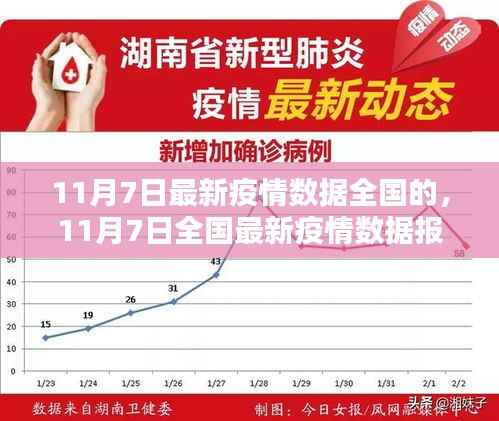 11月7日全国最新疫情数据报告,深度解析与动态更新