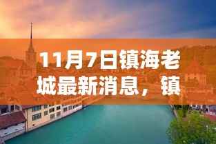 镇海老城新篇章开启,11月7日最新消息速递