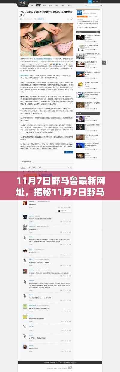 揭秘与案例分析,野马鲁最新网址背后的犯罪问题深度探索