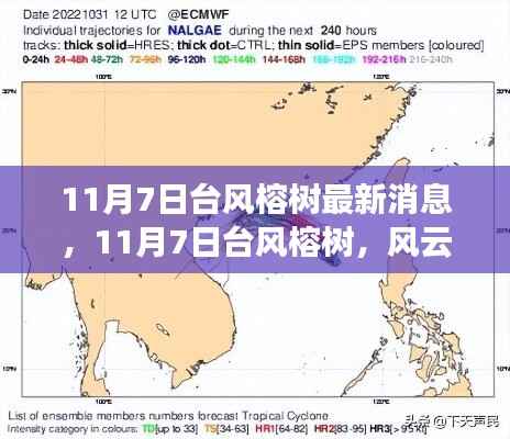 台风榕树最新动态,风云再起之时