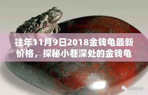 探秘金钱龟宝藏,最新价格揭秘与深度解析(2018年11月9日)