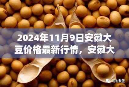 安徽大豆最新行情与心灵之旅,自然美景下的大豆价格揭秘