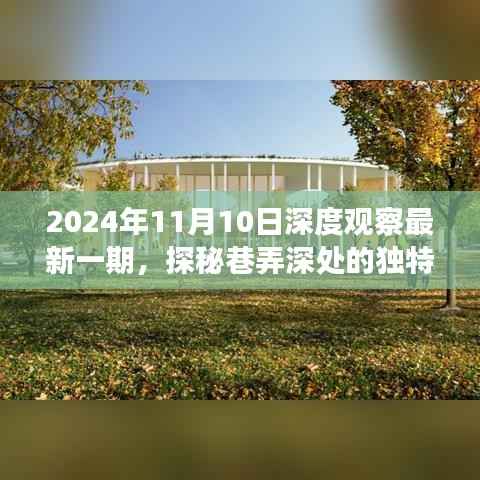深度观察系列,揭秘巷弄独特风味的美食之旅 —— 2024年11月10日深度观察