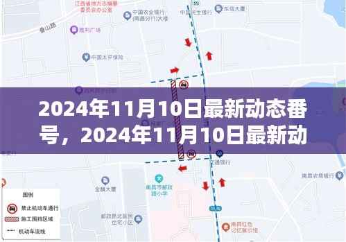 关于涉黄问题的探讨,最新动态与观点探讨(2024年11月10日更新)