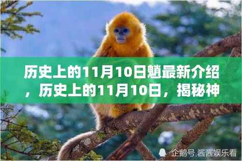 走马观花 第14页