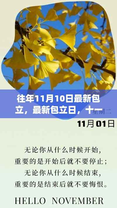 十一月十日,温馨小事与最新包立日的记忆