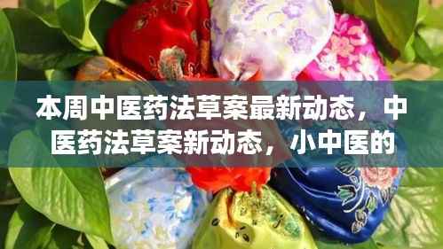 中医药法草案最新动态揭秘,小中医的探秘之旅