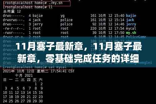 零基础完成任务的详细步骤指南,揭秘11月塞子最新章