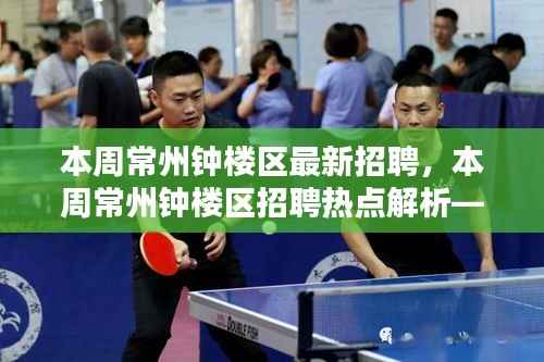 常州钟楼区本周招聘热点解析,最新职位信息概览