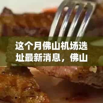 佛山机场新址选址揭晓,科技引领智能出行新纪元