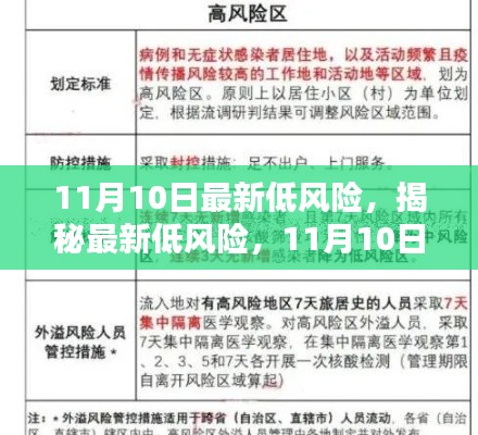 揭秘最新低风险,11月10日三大要点解析与最新风险评估报告发布