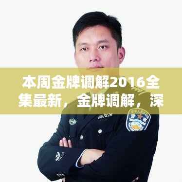 金牌调解深度解析,本周节目内容与影响回顾(最新全集)