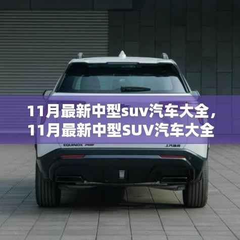 项目介绍 第631页