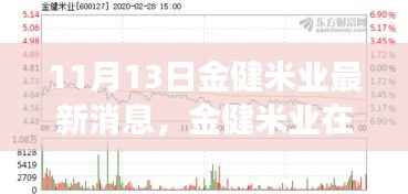金健米业最新动态,风云变幻中的新篇章解读