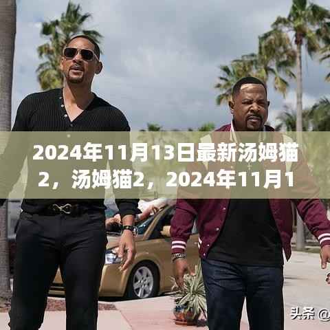 汤姆猫2全新呈现,深度解析与观点探讨(2024年11月13日版)