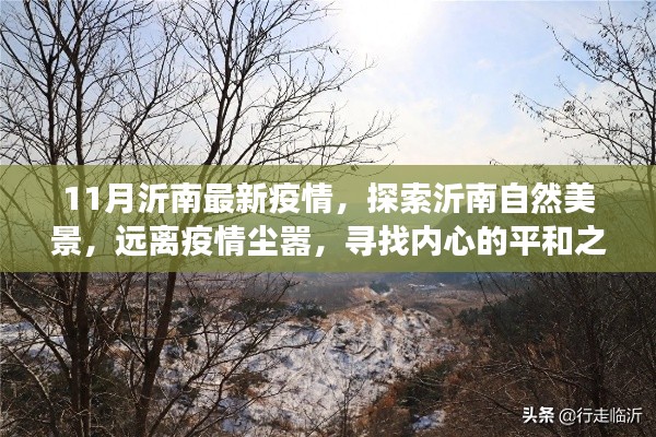 沂南疫情最新动态与探索自然美景,远离喧嚣,寻找内心平和之旅