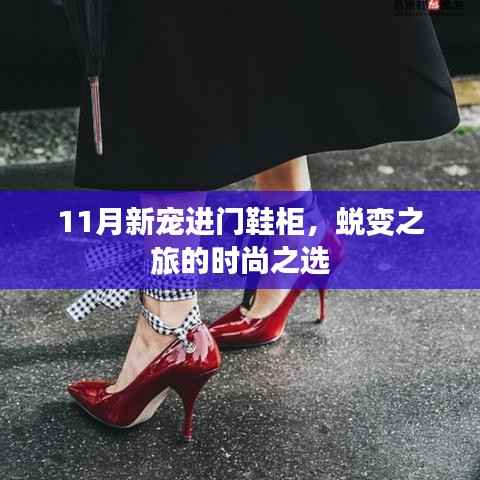 11月新宠进门鞋柜,蜕变之旅的时尚之选