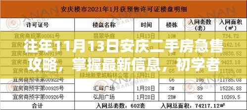 往年11月13日安庆二手房急售攻略,掌握最新信息,初学者与进阶用户指南