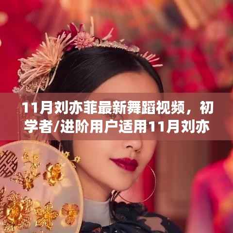 11月刘亦菲最新舞蹈视频学习全攻略,适合初学者与进阶者的舞蹈教学