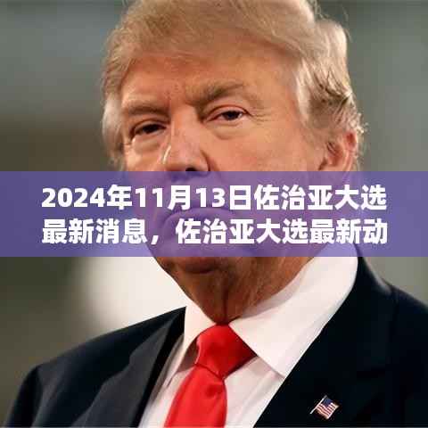 2024年佐治亚大选最新动态与全攻略,11月13日选举参与指南