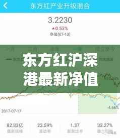 东方红沪深港最新净值查询指南（2024年11月14日）