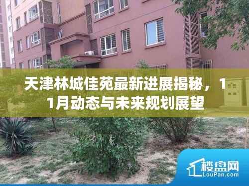 天津林城佳苑最新进展揭秘，11月动态与未来规划展望