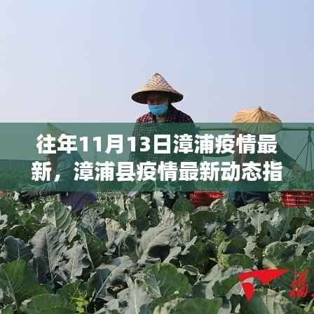 漳浦县疫情最新动态指南,安全度过往年11月高峰的防疫指南