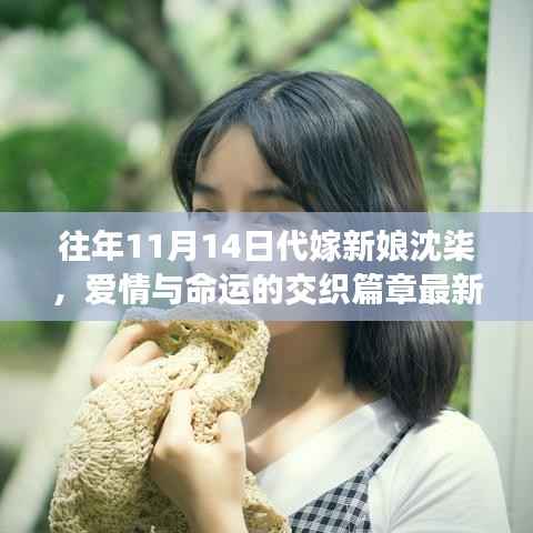 往年11月14日代嫁新娘沈柒,爱情与命运的交织篇章最新章节速递。
