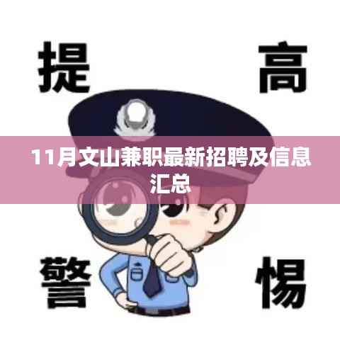 项目介绍 第592页