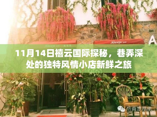 11月14日禧云国际探秘,巷弄深处的独特风情小店新鲜之旅