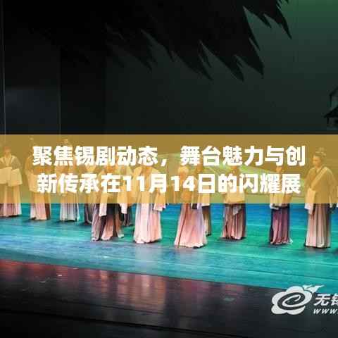 聚焦锡剧动态,舞台魅力与创新传承在11月14日的闪耀展现