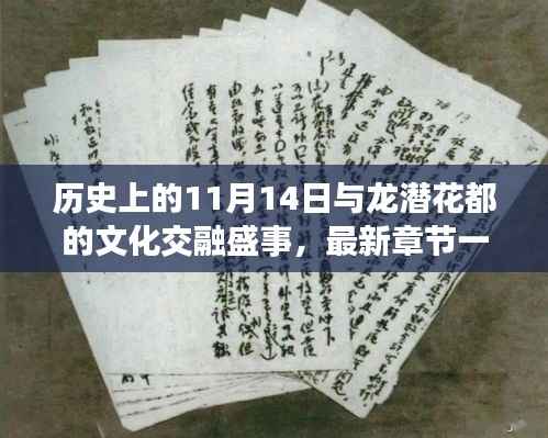 项目介绍 第587页